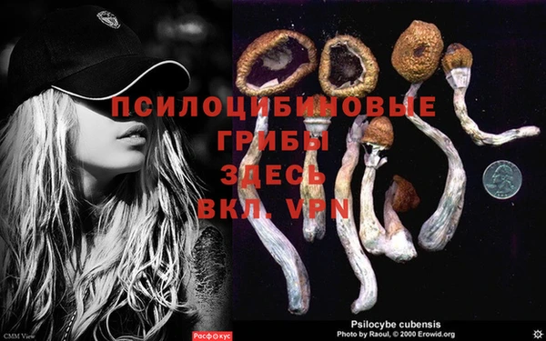 прущий лед Балахна